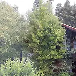 Дом отдыха Virzi - Waldferiendorf